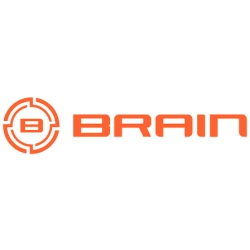 Brain