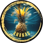 Dumbells Wafters RK Baits Ananas 8 mm 60ml