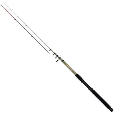 Wędka Teleskopowa Corral Picker 300/40 Premium