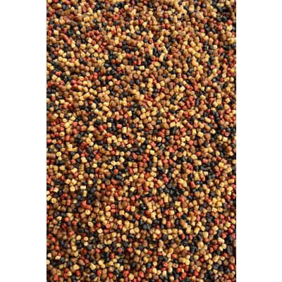 Pellet Prestige Spice 2mm - Feeder Bait