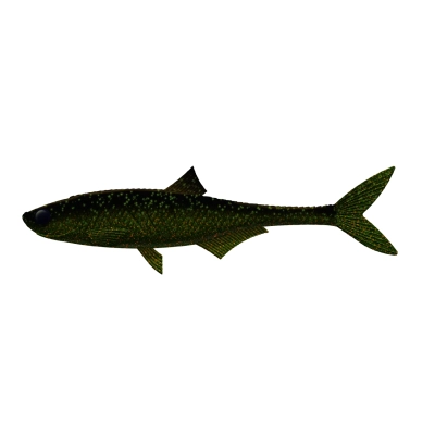 LIBRA LURES - "DEAD FISH 6,7"" (STANDARD PAINTED)" 132 - MOTOR OIL GREEN - NO TASTE - PRZYNĘTA DO VERTICALA