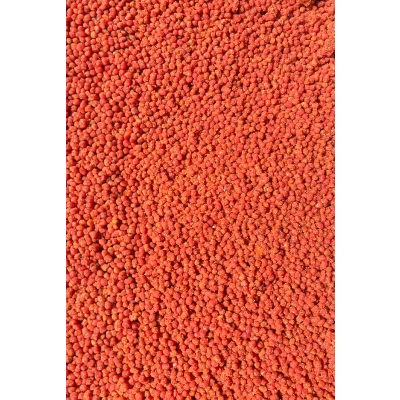 Pellet Gotowy w Wiaderku Czosnek & Śliwka - Feeder Bait