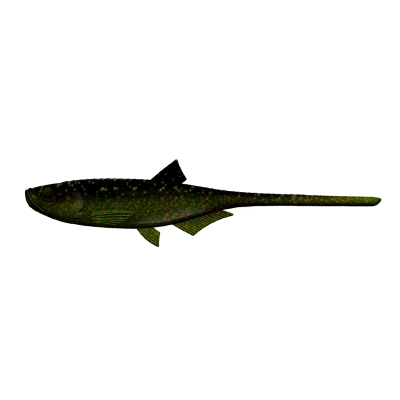 LIBRA LURES - "BLEAK - SLUG TAIL 8,2"" (STANDARD PAINTED)" - 132 - MOTOR OIL GREEN - NO TASTE