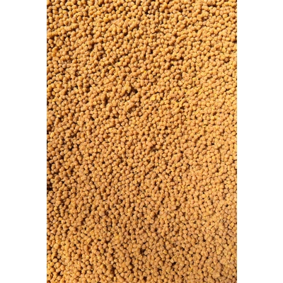 Pellet Gotowy w Wiaderku Sweet Corn - Feeder Bait