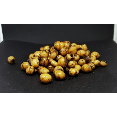 Orzech Tygrysi preparowany 1kg