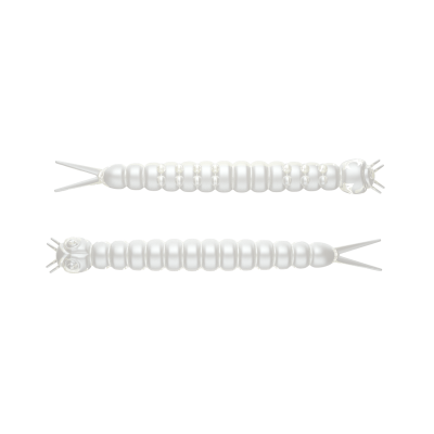 LIBRA LURES - SLIGHT WORM 38 - 004 SILER PEARL - CHEESE